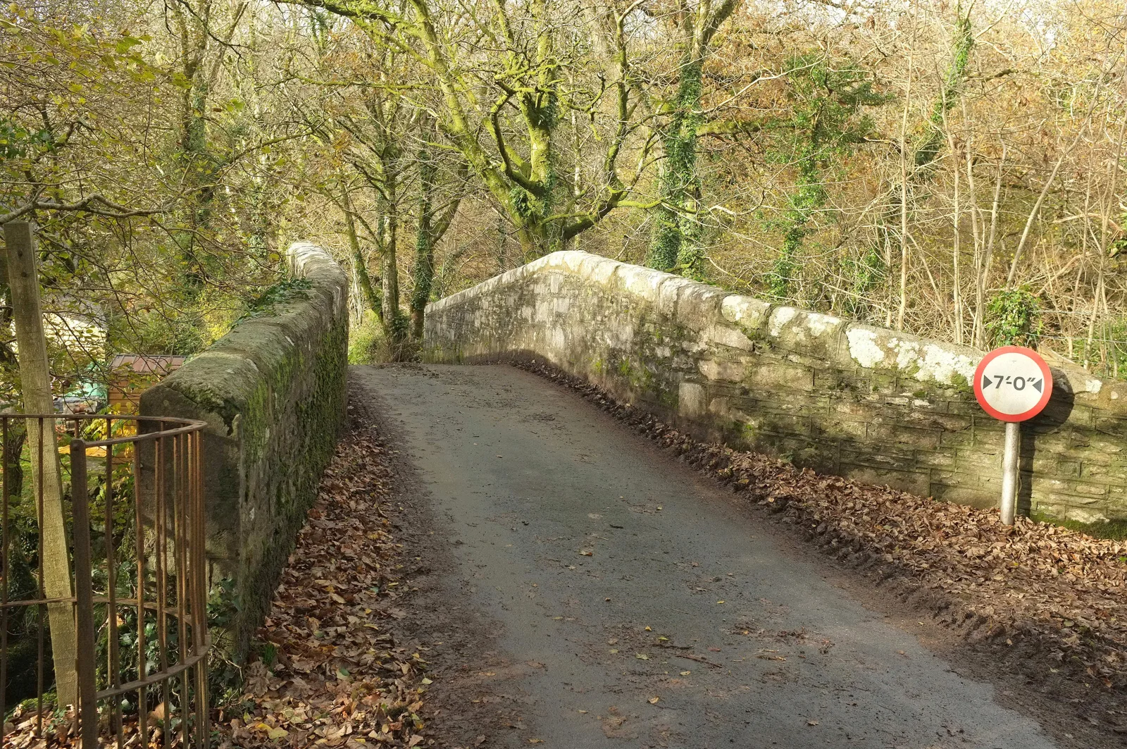 Harford Bridge (River Erme)
