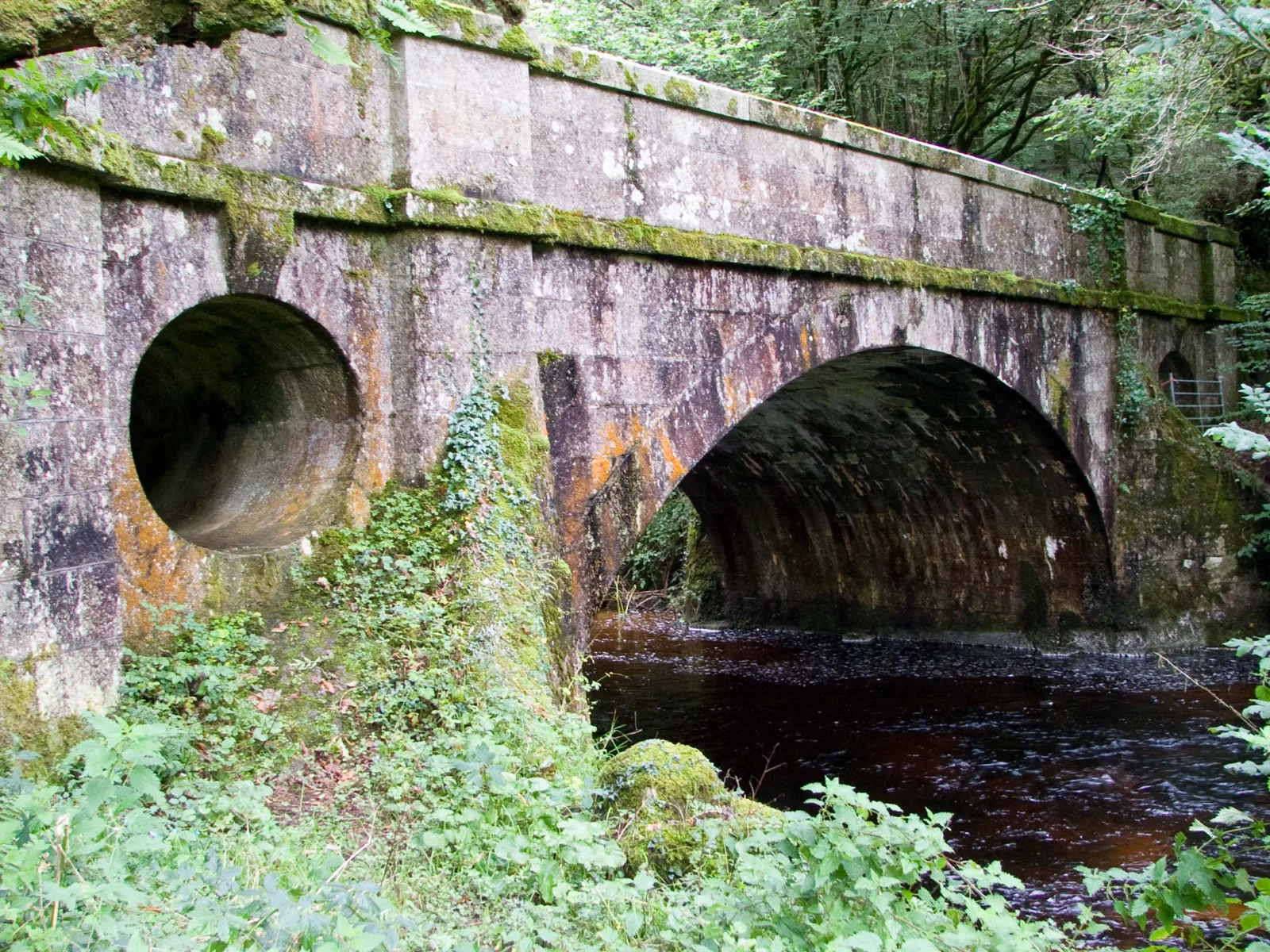 Ward Bridge