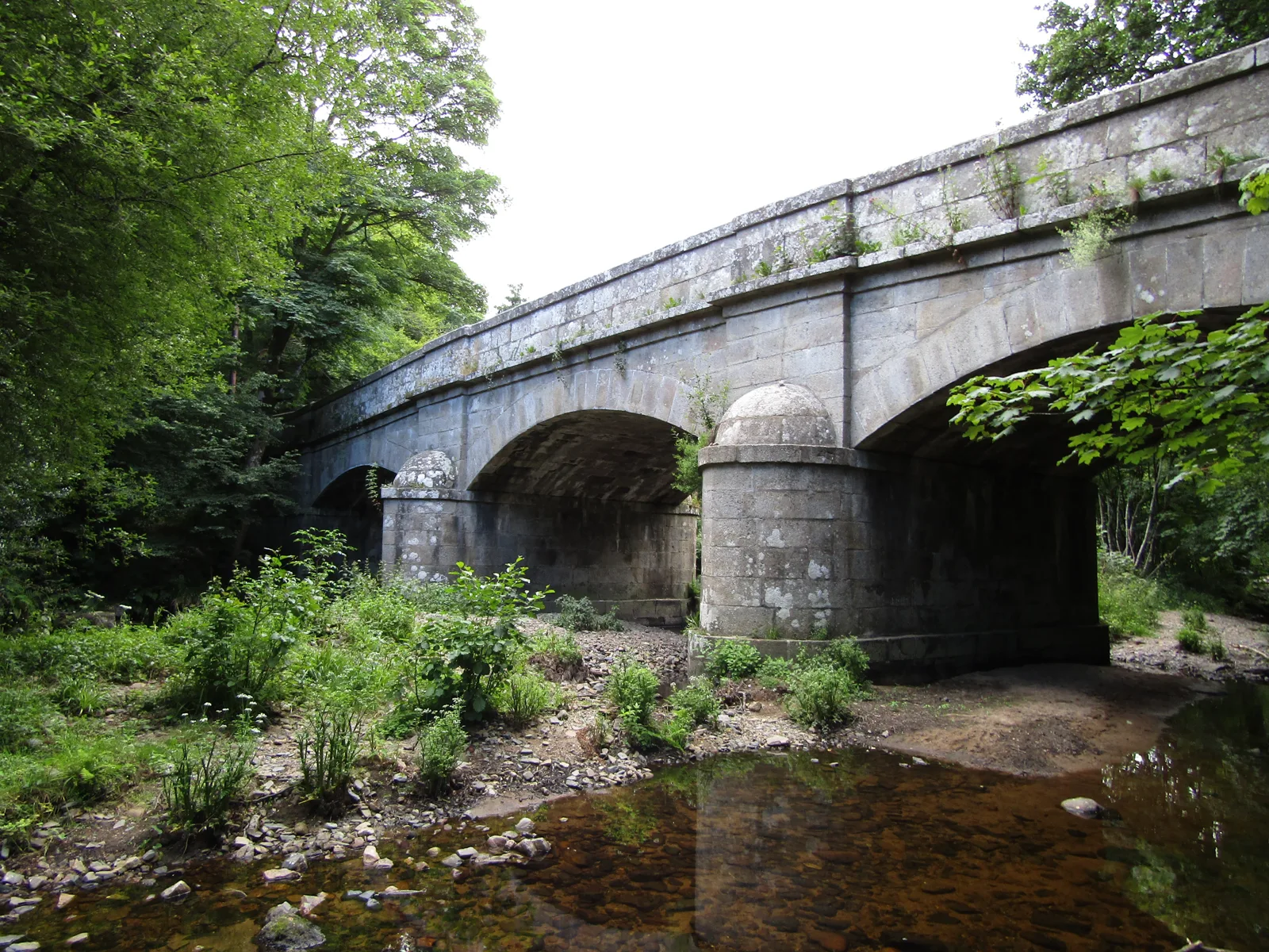 Steps Bridge