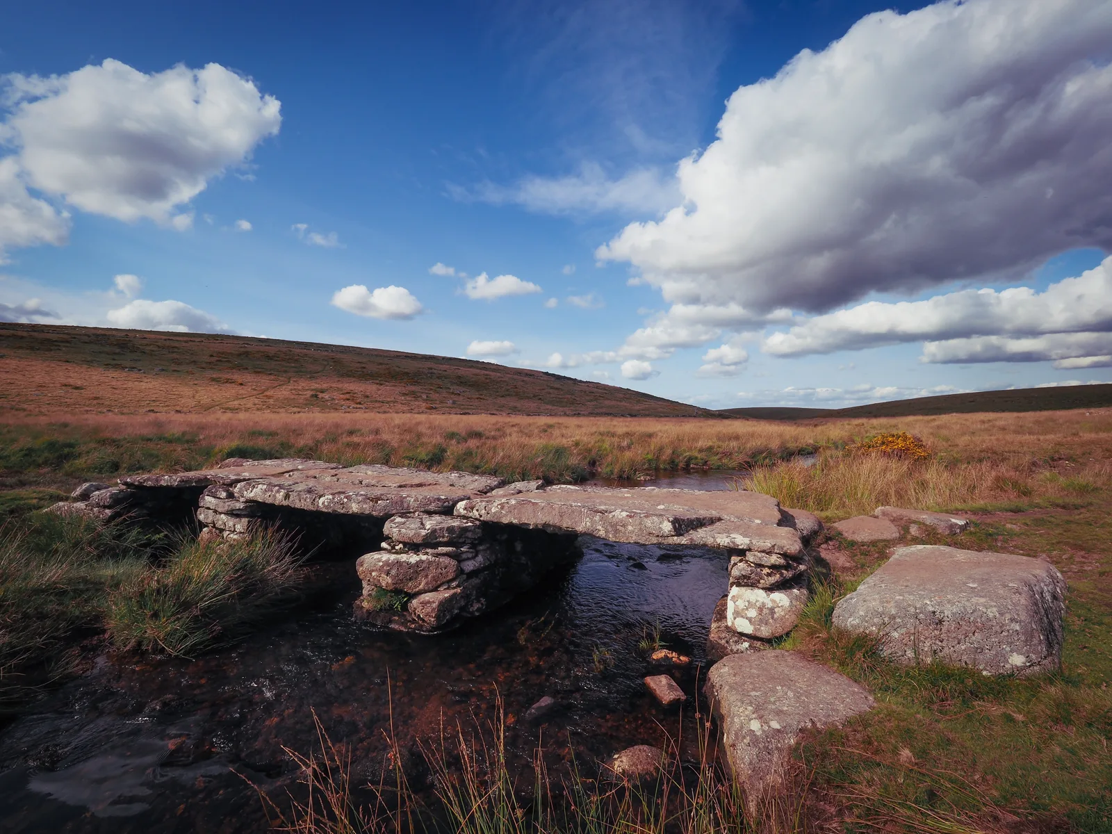 Teignhead Clapper Bridge