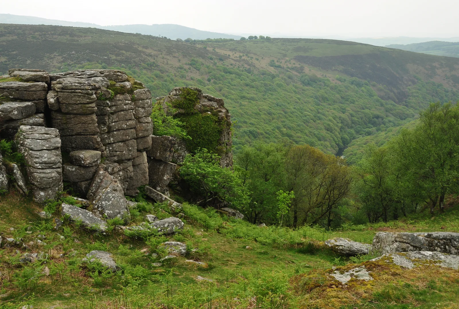Bench Tor