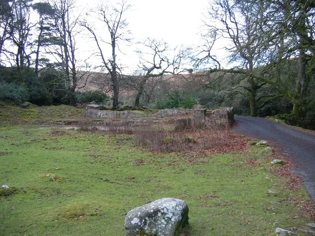 Brent Moor House