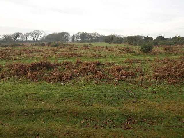 Roborough Down