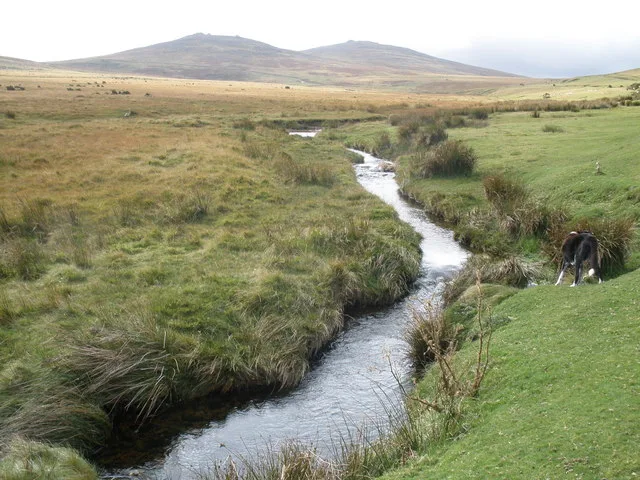 Moor Brook