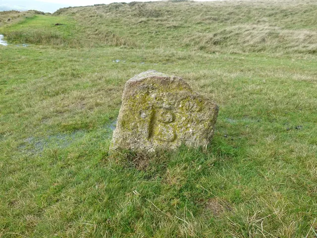 BS boundary stone, Sourton Tors