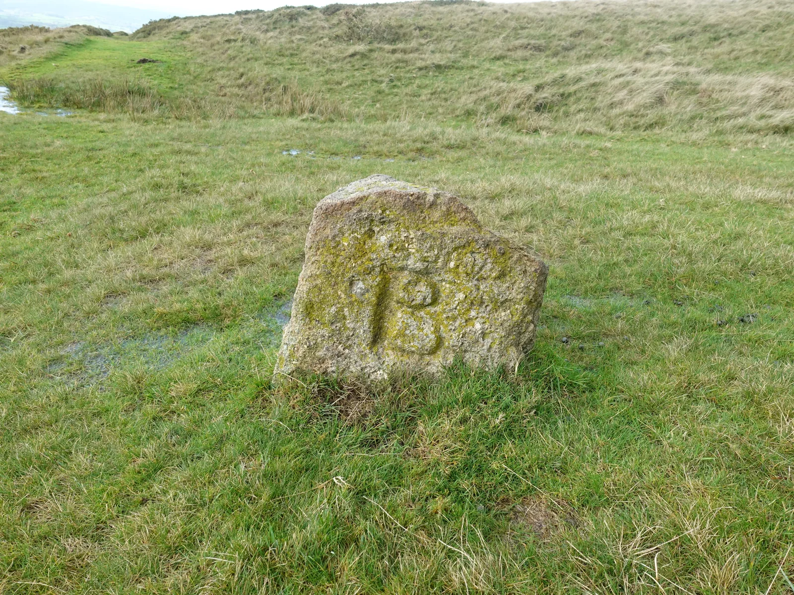 BS boundary stone, Sourton Tors