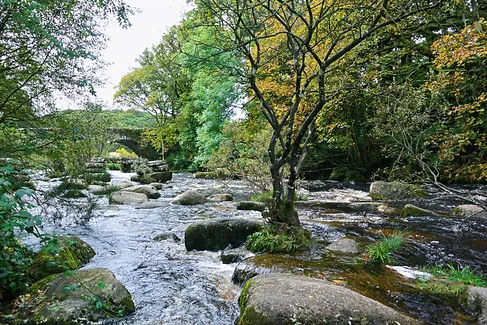 Badger's Holt