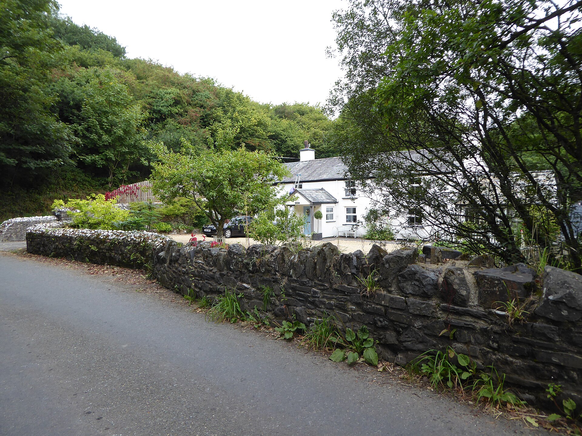 Mary Tavy