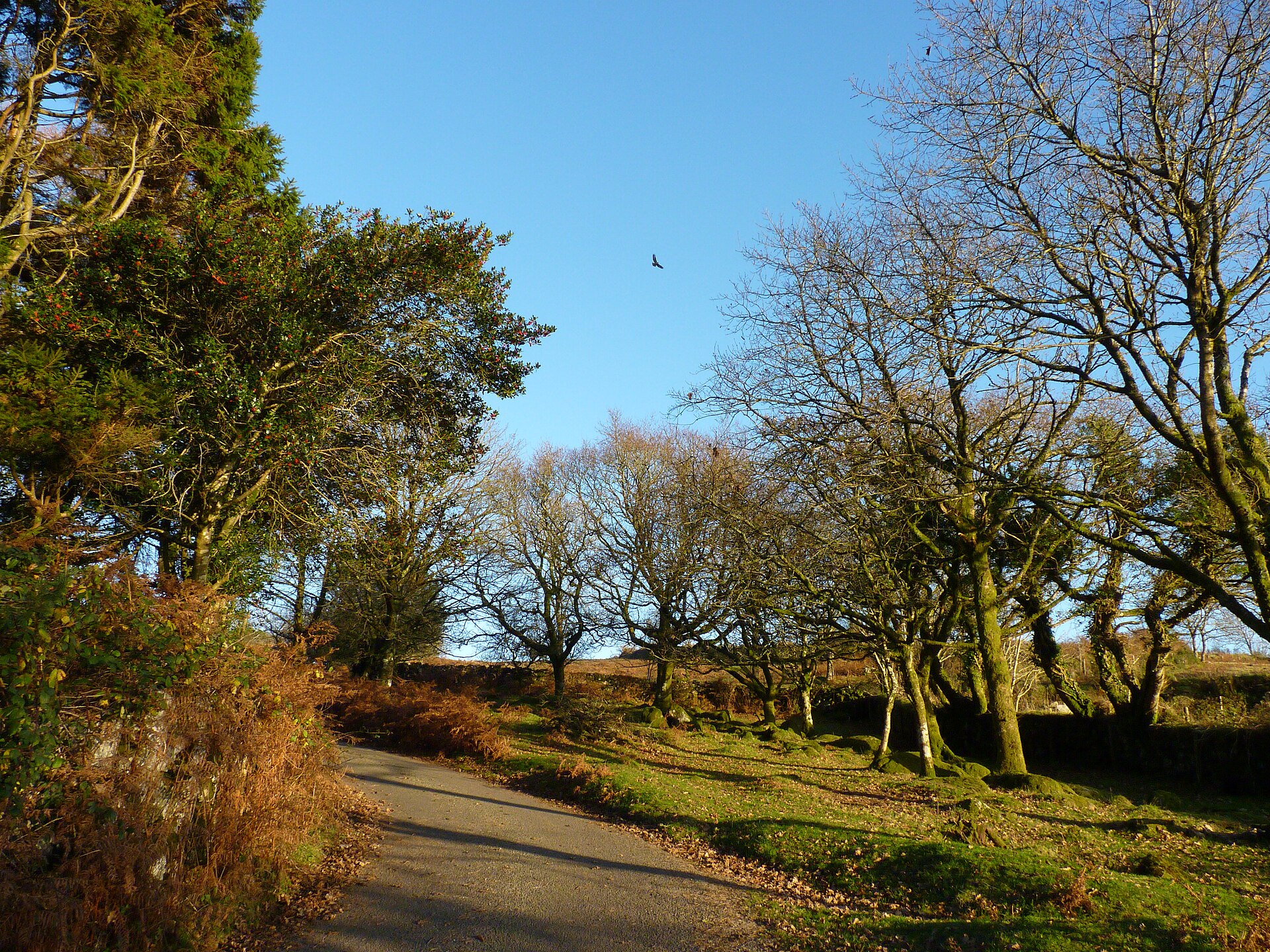 Bonehill