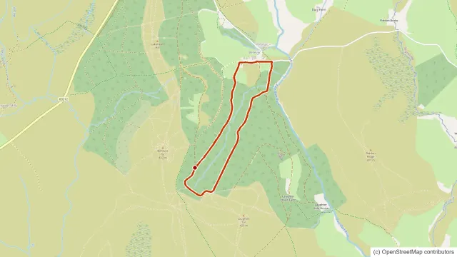 Bellever Trail