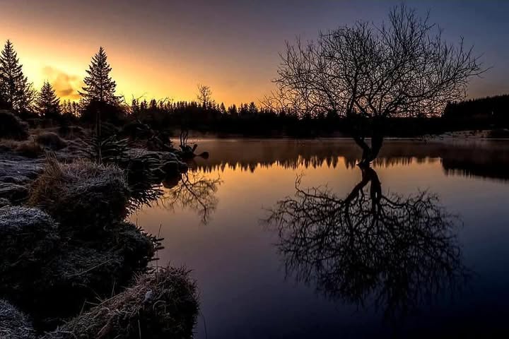 Dartmoor Public Group - Facebook Group