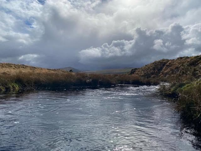 Dartmoor Wild Swimming - Facebook Group