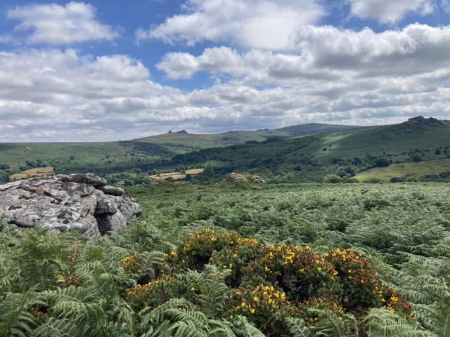 Rewilding Dartmoor - Facebook Group