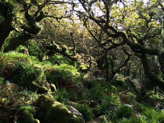 Dartmoor Storytellers - Facebook Group